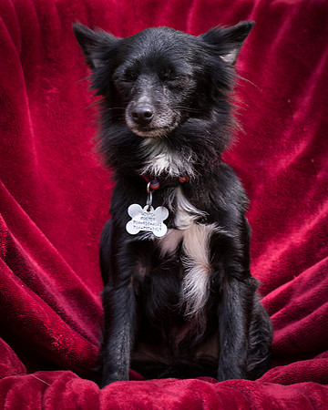 Foster Julio-8478
