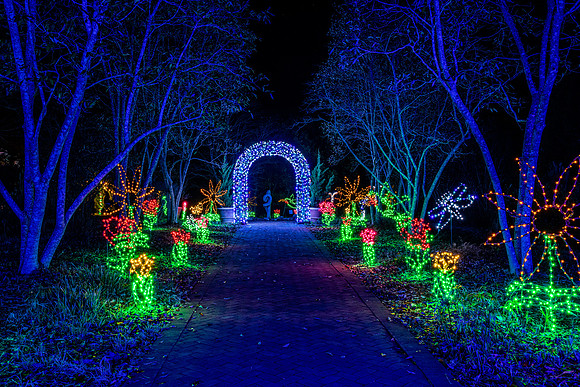 Christmas-2864