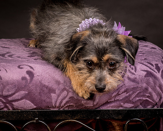 Foster Nadine-9640