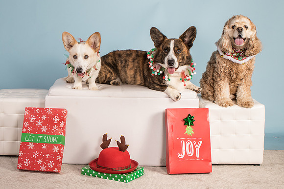 Markijohn-4480