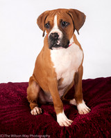 Foster Lenny-3014