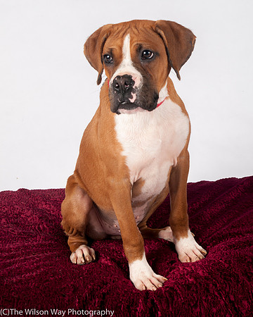 Foster Lenny-3014