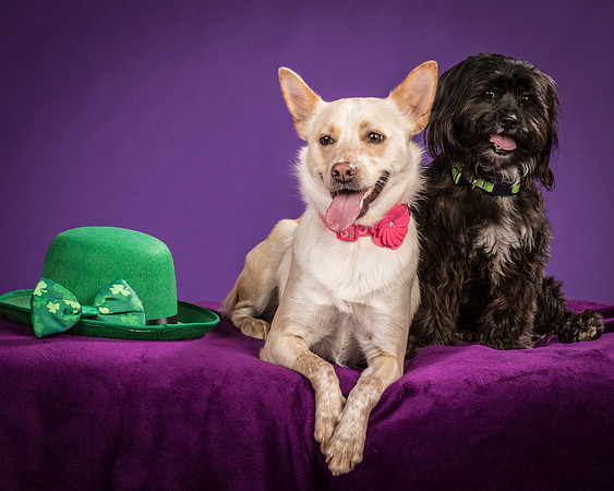 Henry and Maggie-1257
