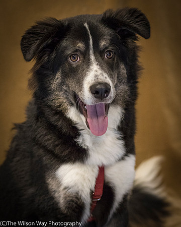 Foster Salty-0632