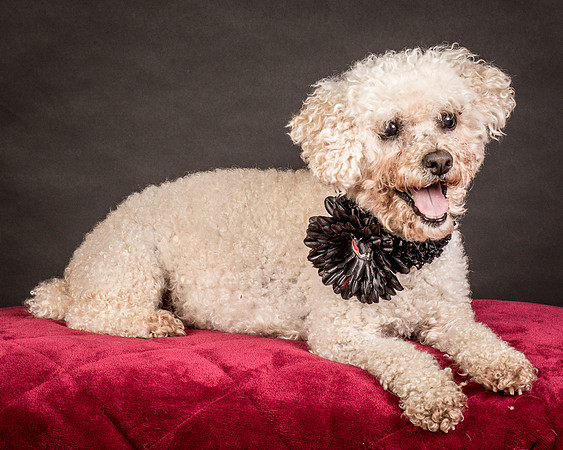 Foster Mae-9063
