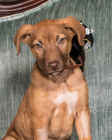 Foster Bronwyn-8334