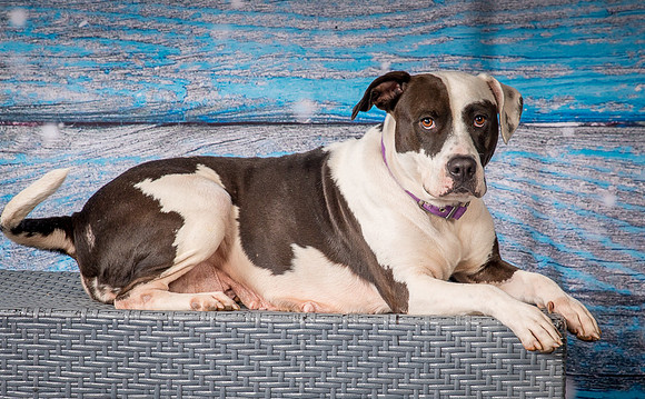 Foster Lucette-3227