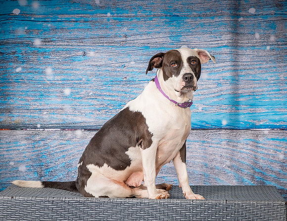 Foster Lucette-3211