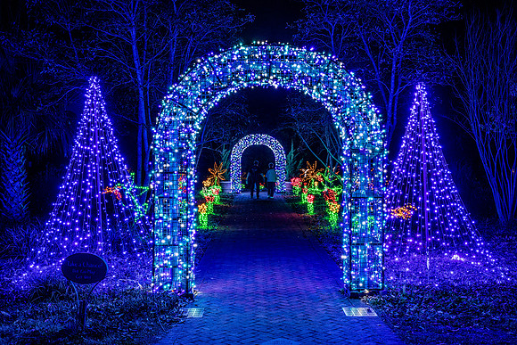 Christmas-2856