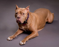 Maggie Griner-7514