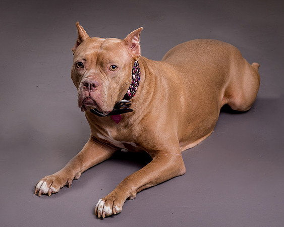 Maggie Griner-7514