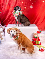 Annie n Coco-2441