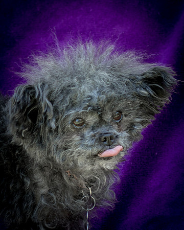 Foster Vivienne-9286