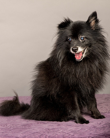 Foster Wayne-8265