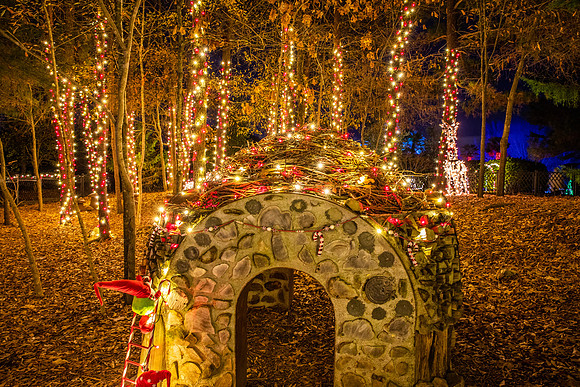 Christmas-2617