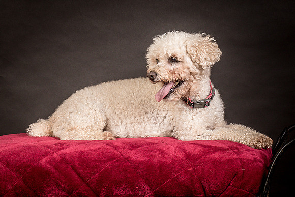 Foster Mae-9026