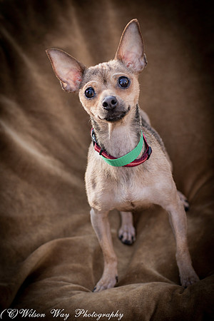 Foster Naomi
