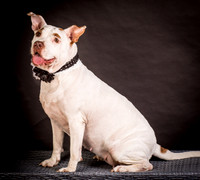 Foster Joanie-0423