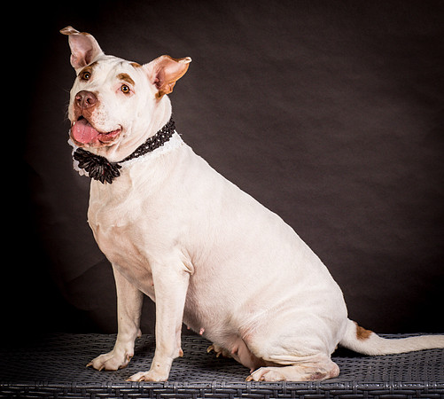 Foster Joanie-0423