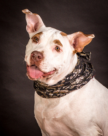 Foster Joanie-0447