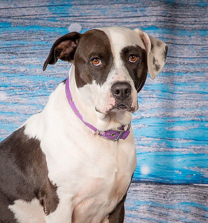 Foster Lucette-3218