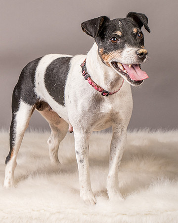 Foster Pollyanna-3938
