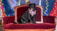 Foster Beatrice-3985