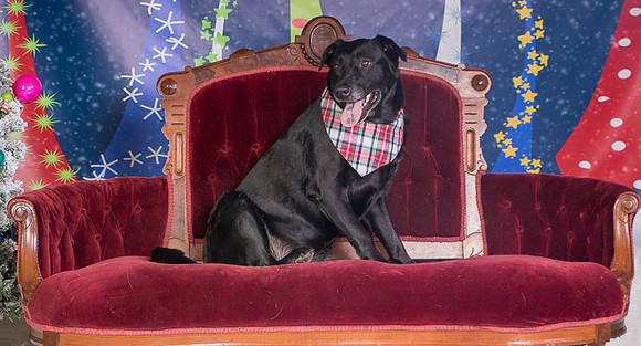Foster Beatrice-3985