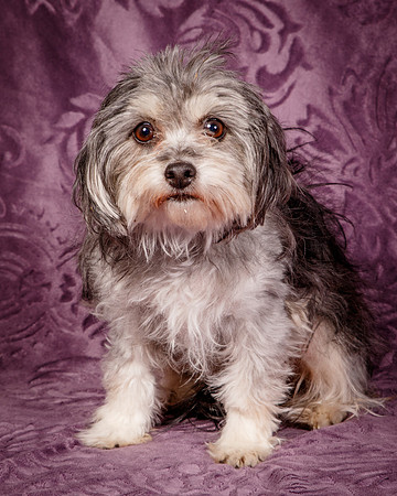 Foster Alex-6253