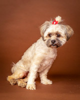 Foster Frida-9747