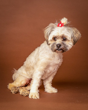 Foster Frida-9747