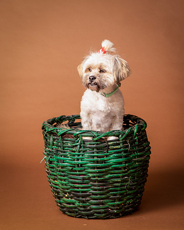 Foster Frida-9775