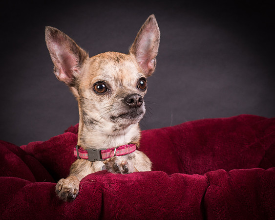 Foster Selina-1138