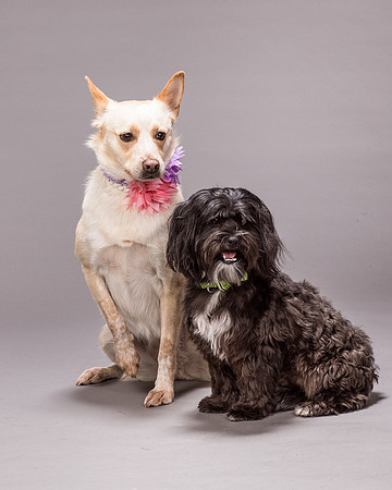 Maggie and Henry-7307