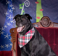 Foster Beatrice-3989