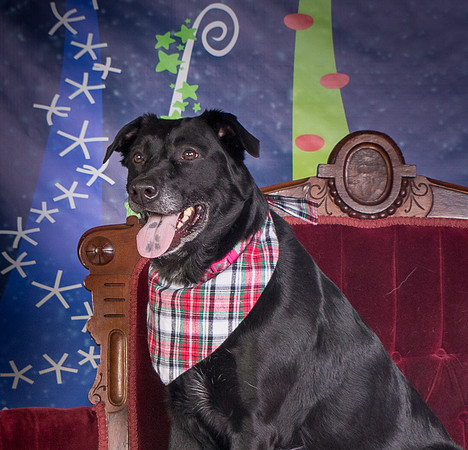 Foster Beatrice-3989