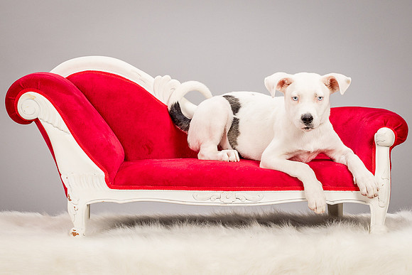 Foster Alvin-4713