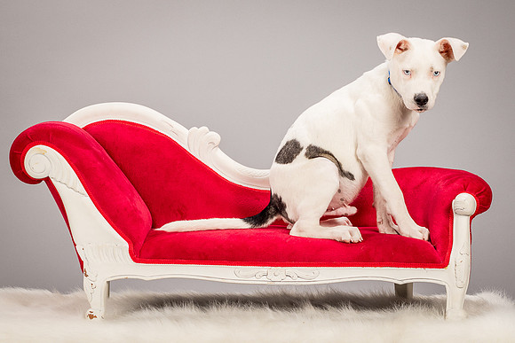 Foster Alvin-4705