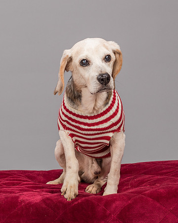 Foster Gabe-2301