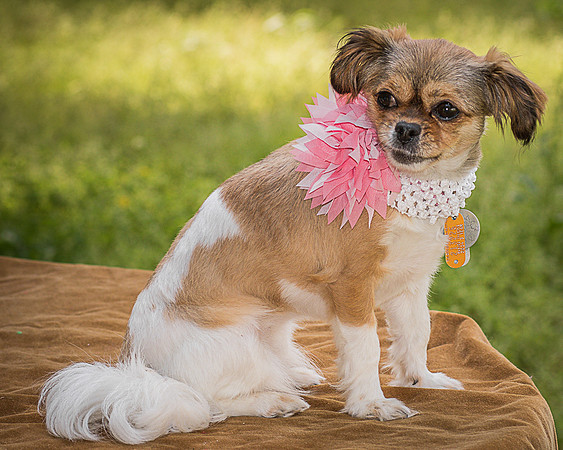 Foster Missy-0561