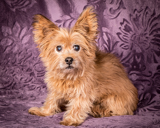Foster Nessa-5683
