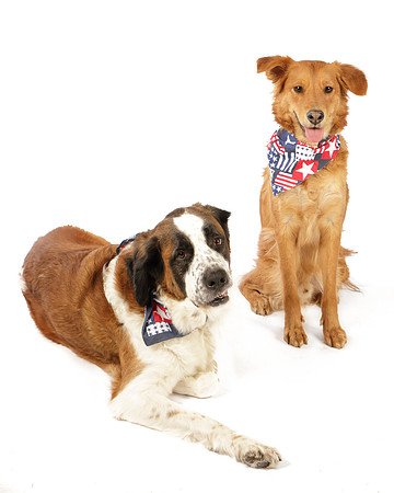 Ollie and Heidi-8290