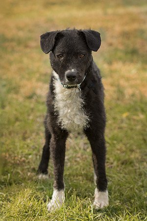 Foster Maynard-9044