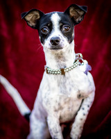 Foster Haylie-3978