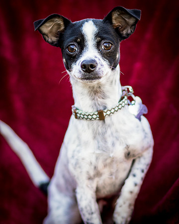 Foster Haylie-3978