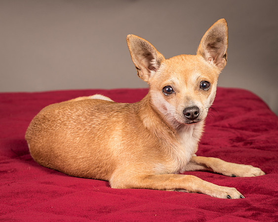 Foster Rosanna-3762