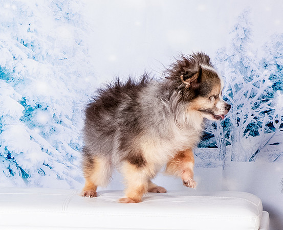 Foster Gabe-4573