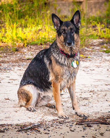 Gretchen-0970