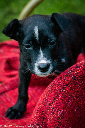 Foster Blythe-3944