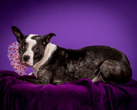 Foster Claire-4205
